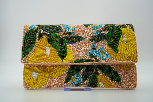 Beaded Clutch purse